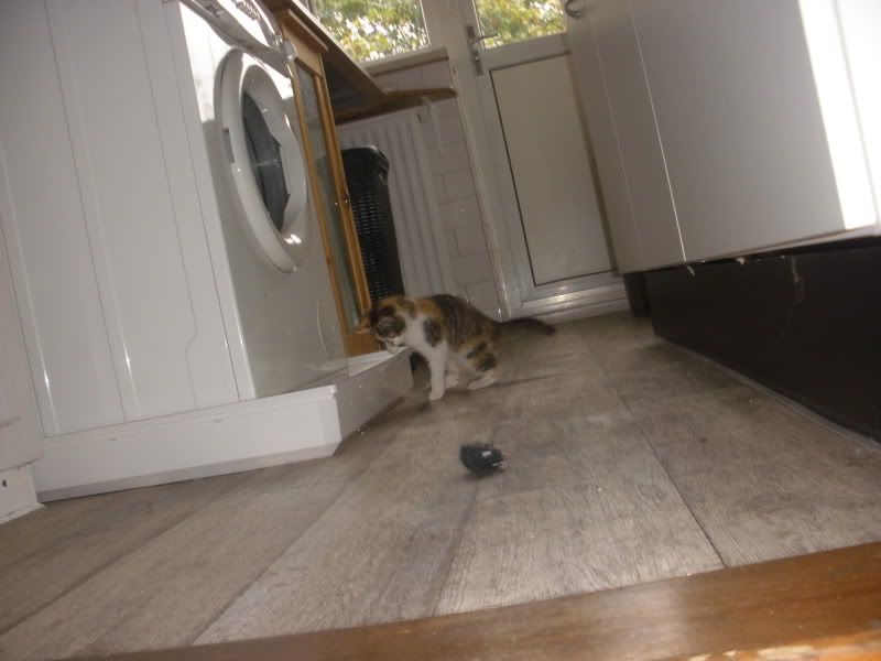 PA052165.jpg