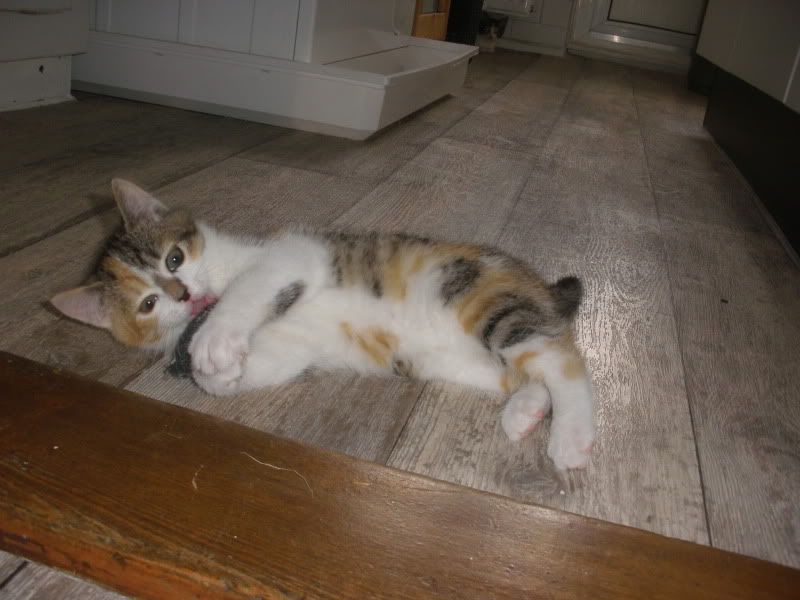 PA052169.jpg