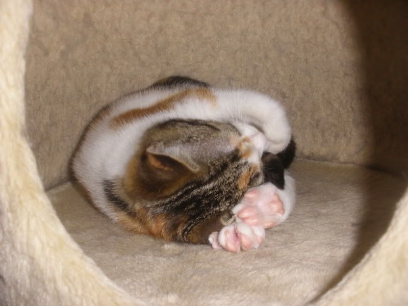 PA290027.jpg