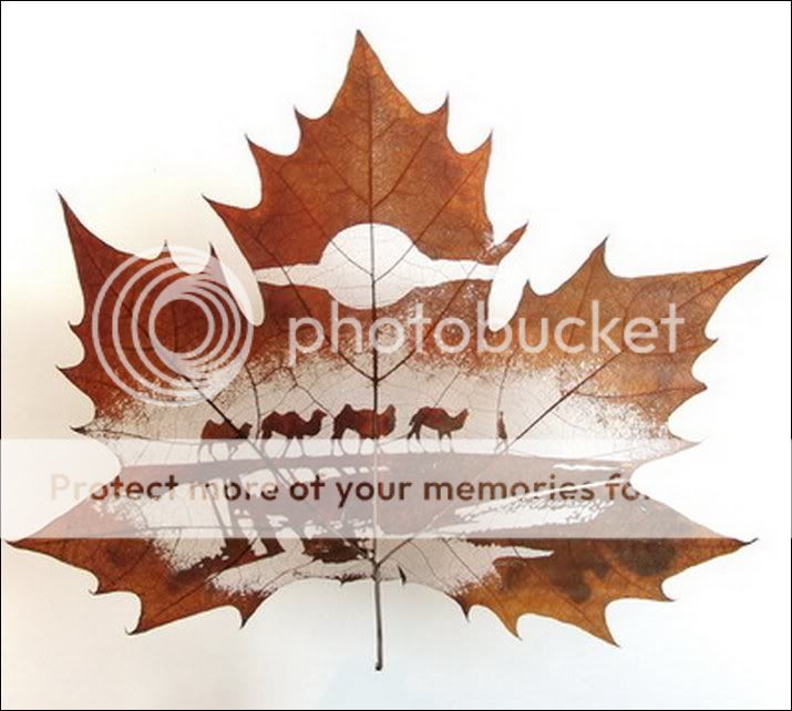 http://i1127.photobucket.com/albums/l624/jexgill/Leaf%20Carving/leaf-carving01.jpg
