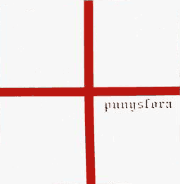 Cover - Punysfora - Maqueta D'Assaig (2004)