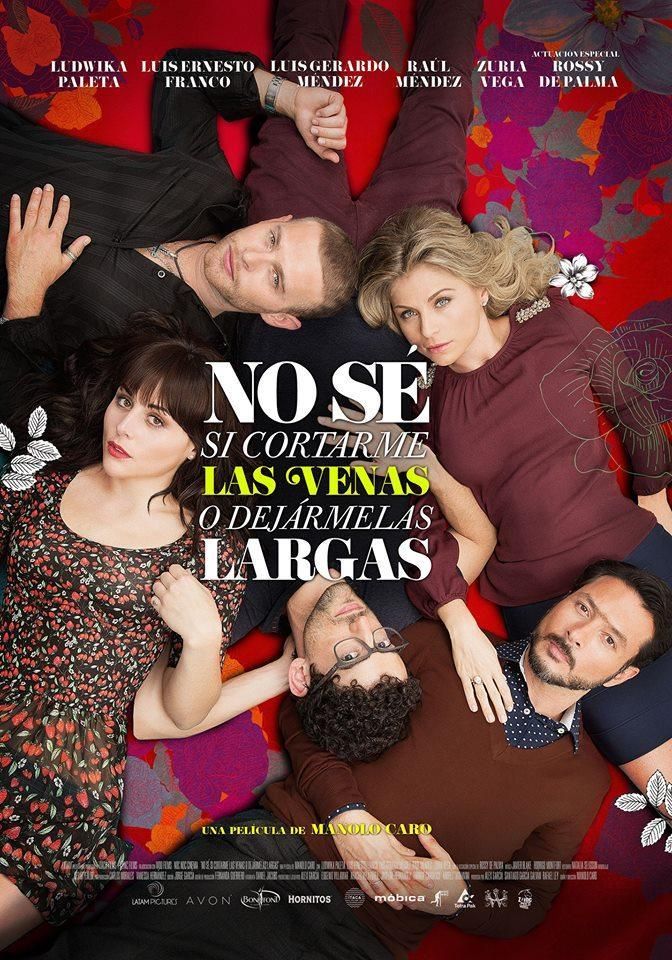 no se si cortarme las venas o dejarmelas largas 123212022 large - No sé si cortarme las venas o dejármelas largas Dvdrip Español (2013) Comedia