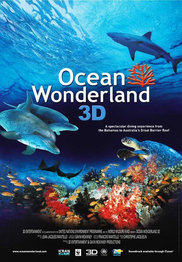 ocean wonderland 588117086 large - Un mundo maravilloso en el Oceano 3D