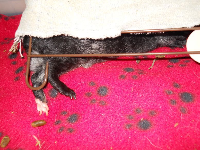 DSCN0809.jpg