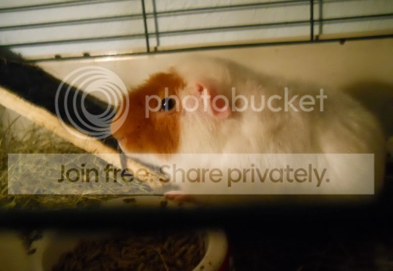 DSCN0927.jpg