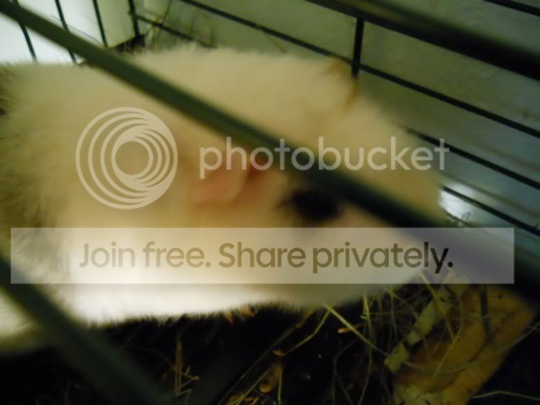 DSCN0929.jpg