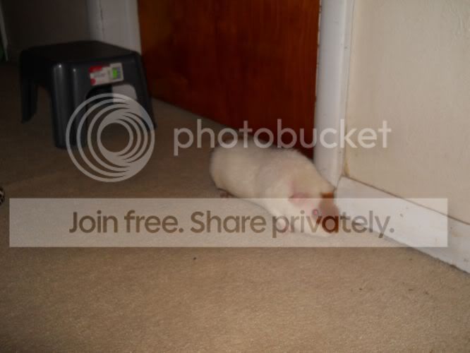 DSCN1030.jpg