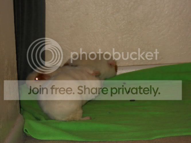 DSCN1031.jpg