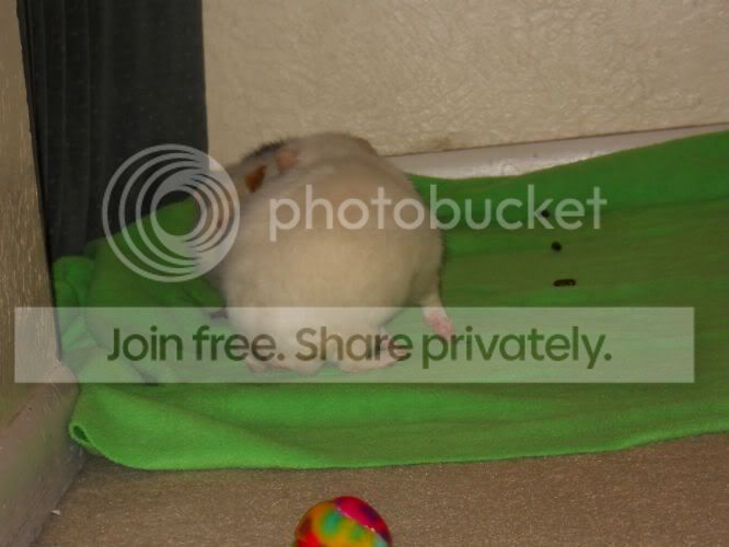DSCN1032.jpg