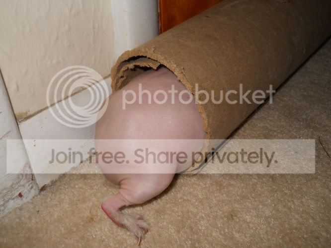 DSCN1058.jpg