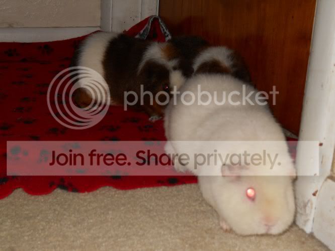 DSCN1065.jpg