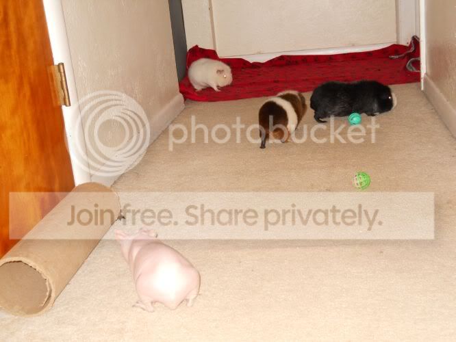 DSCN1067.jpg
