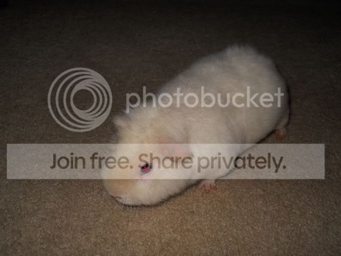 DSCN1595.jpg