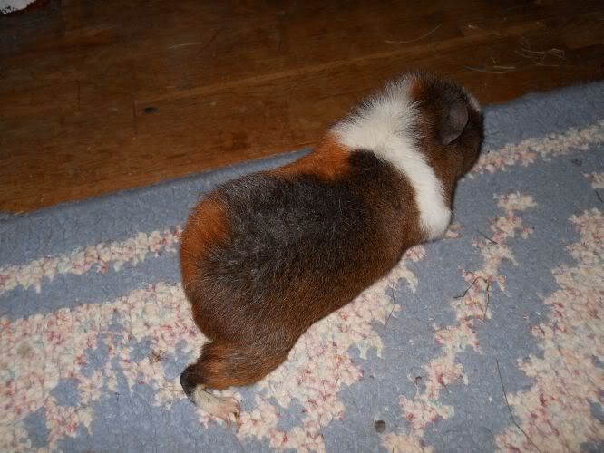 DSCN1768.jpg