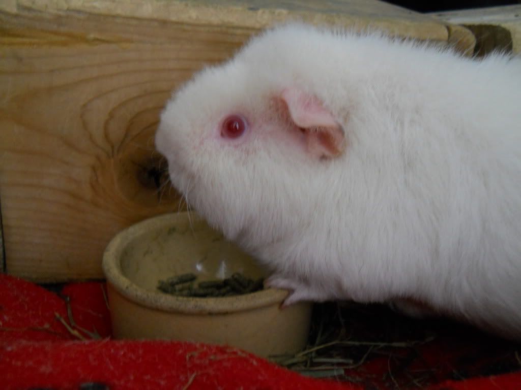 DSCN1985.jpg