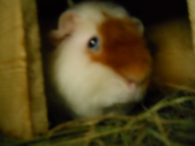 DSCN2001.jpg