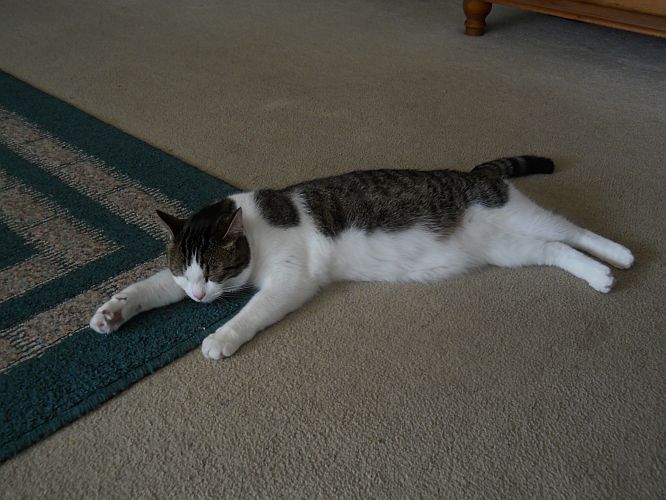 DSCN2535.jpg