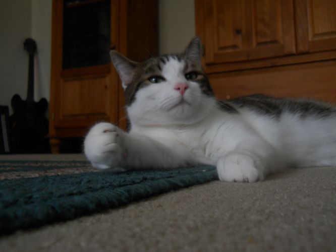 DSCN2536.jpg