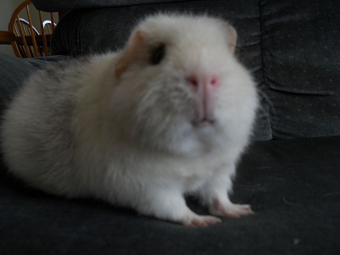 DSCN2538.jpg