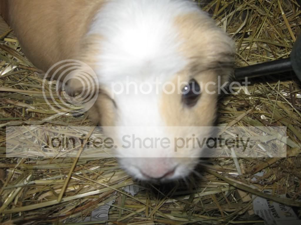 IMG_1565.jpg