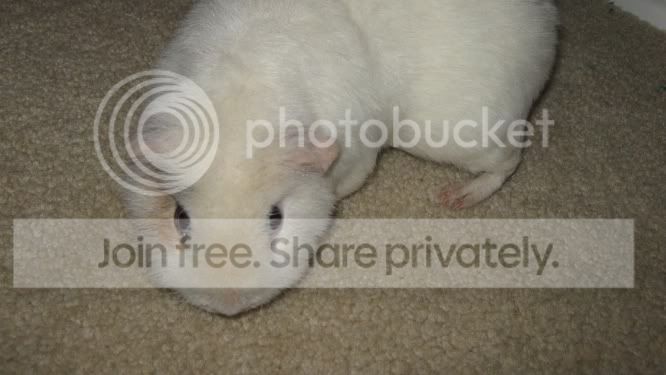 IMG_7782.jpg