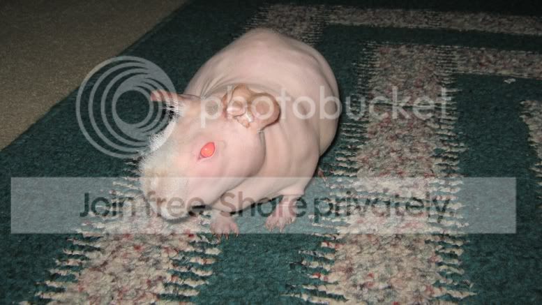 IMG_7938.jpg
