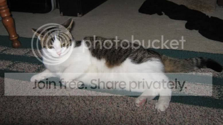 IMG_8284.jpg