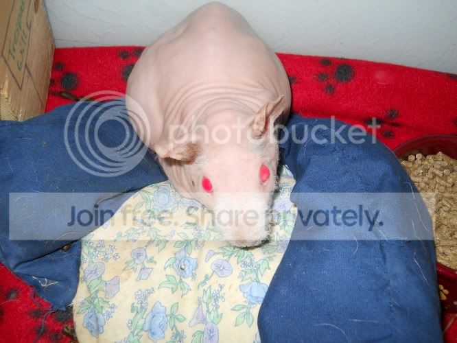May8006.jpg