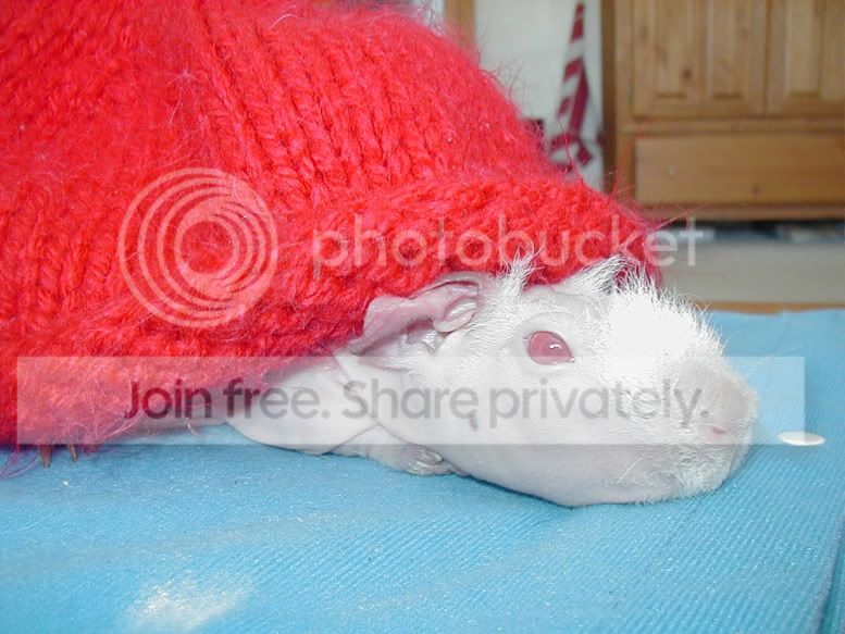Sleepypink.jpg