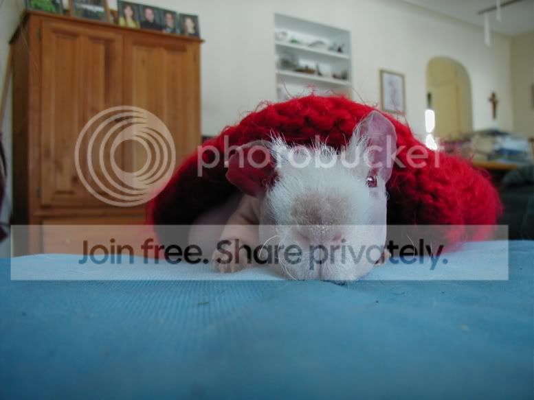 Sleepypink8.jpg