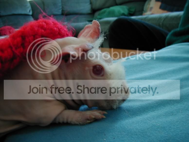 Sleepypink9.jpg