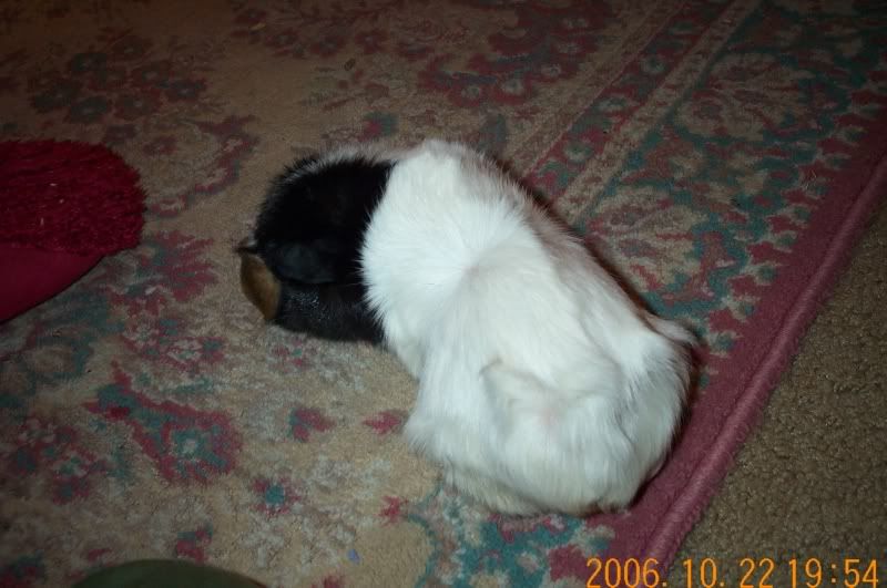 missy11.jpg