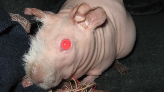 wrinkles.jpg
