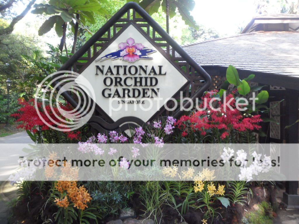  National Orchid Garden @ the Singapore Botanical Gardens