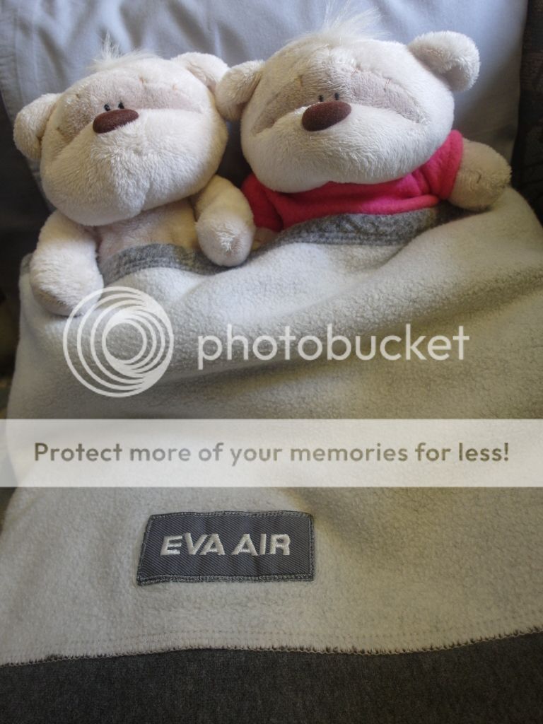2bearbear sleeping soundly on Eva Air