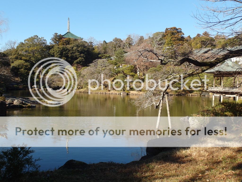 Superb view of the lake at Narita-san Park