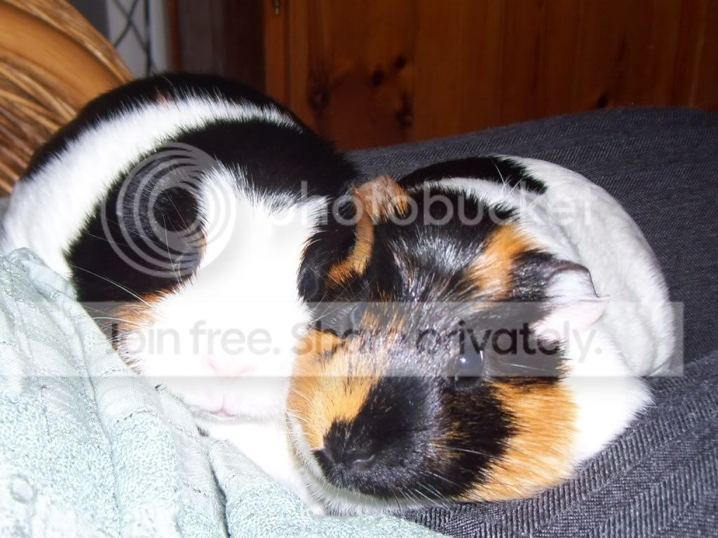 100_2732.jpg