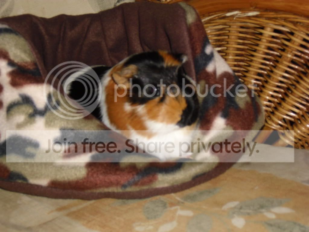 CIMG0710.jpg