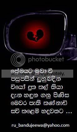 ATT00043.jpg