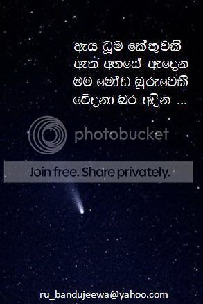 ATT00049.jpg