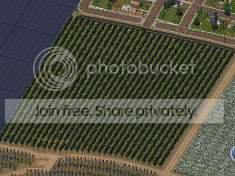 SpringDale-Apr19531320420041.png