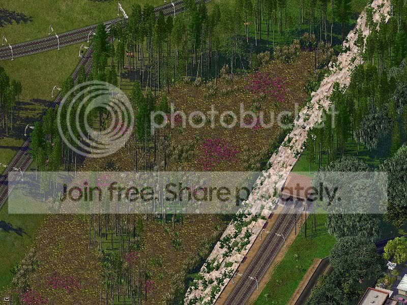 Railbog2.jpg